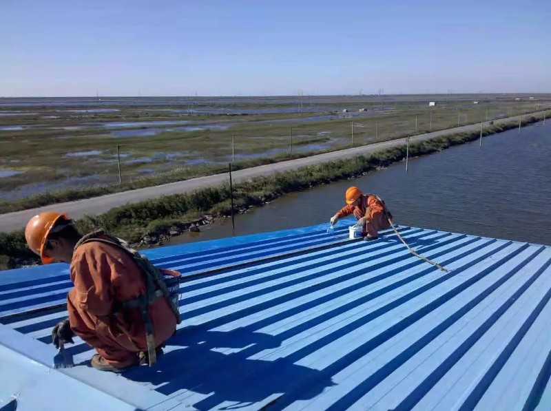 单县彩钢瓦屋面防腐翻新